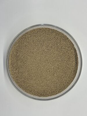 Hochstabiles Futterprotease-Enzym BP100 zur Verbesserung der Proteinnutzung und der Aminosäureverdaulichkeit (100.000 U/g)