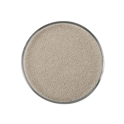 Kombinatorischer Xylanase Straw Yellow Granule Cas 37278-89-0 für Mischgut