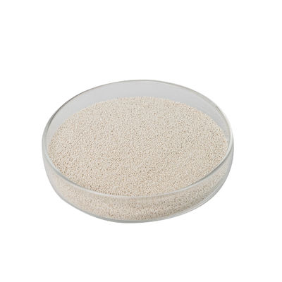Kombinatorische Beta Xylanase Animal Feed Additives mit FSSC22000