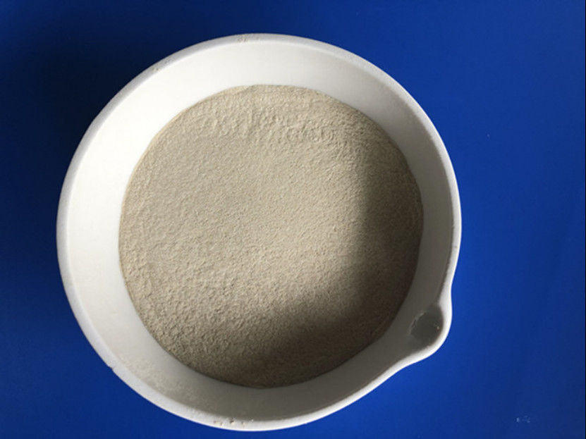 Cas 9025 57 4 Protease-verdauungsförderndes Enzym 80 Mesh Protease In Food Industry