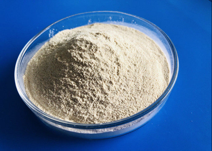 Cas 9025 57 4 Protease-verdauungsförderndes Enzym 80 Mesh Protease In Food Industry