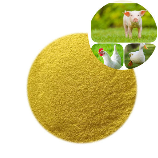 Geflügel-Nahrung GOTT Glucoseoxidase-Enzym pulverisieren Zufuhr-Zusätze