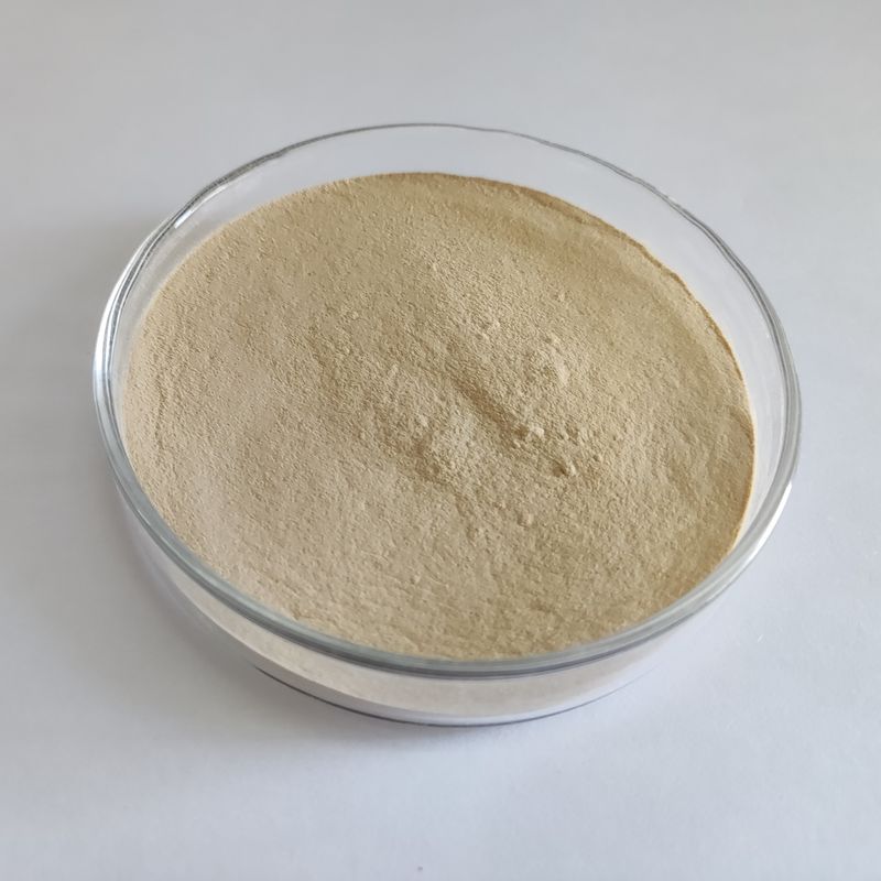 BP100 Proteasepulver oder Granulat für Futtermittel