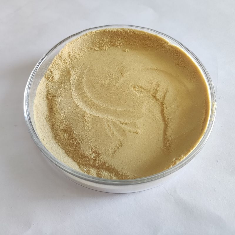 Pilzartiges Alpha-Amylase-Enzym in Lebensmittelqualität für die Back-, Stärkezucker-, Alkohol- und Brauindustrie