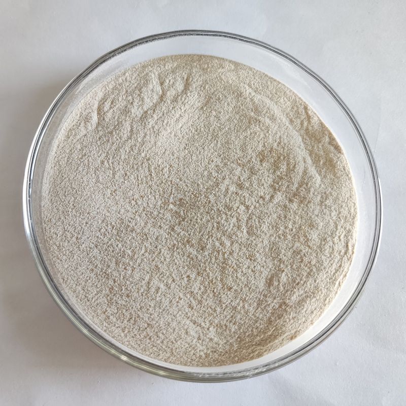 Habio-Lipase 50.000U-300.000U Hochhydrolysierende Lipide für Futtermittel und Lebensmittelindustrie