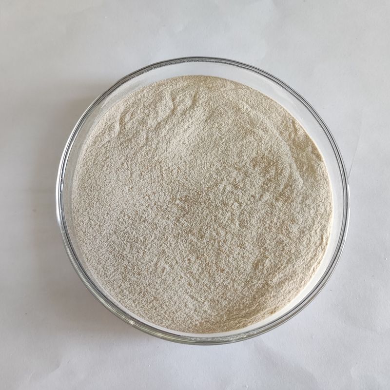 Enzym-Protease-Lipase-Amylase-Zellulase Habio reinigende für gewaschenes Gewebe auf biologischen Flecken