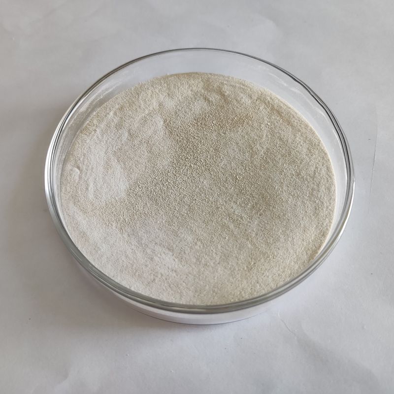 Enzymatische Lipasepulver 50.000-200.000 Mikrobenfermentation Lipase Enzym