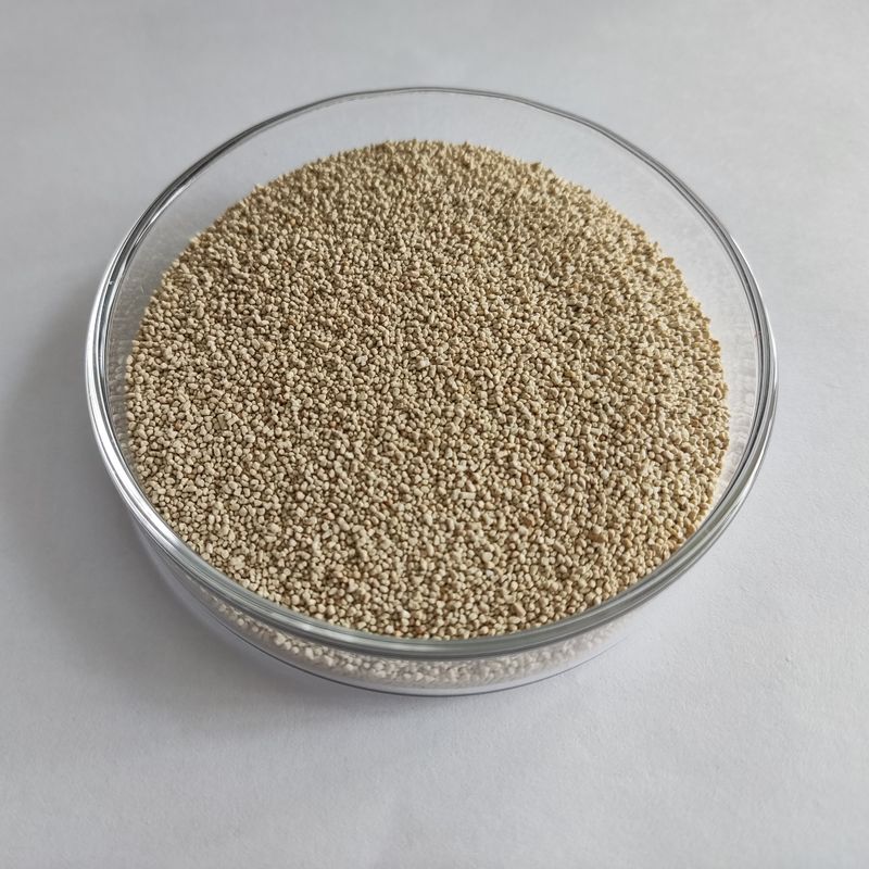 Habioenzymatische Lipase Ernährung Verbessern Absorption und Nutzung Biodiesel