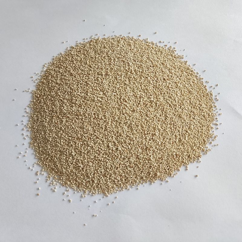 Habioenzymatische Lipase Ernährung Verbessern Absorption und Nutzung Biodiesel