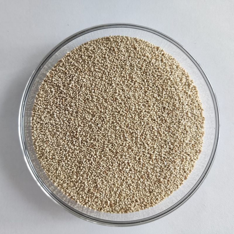Habioenzymatische Lipase Ernährung Verbessern Absorption und Nutzung Biodiesel
