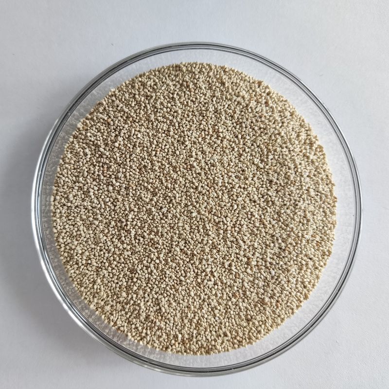 Habioenzymatische Lipase Ernährung Verbessern Absorption und Nutzung Biodiesel