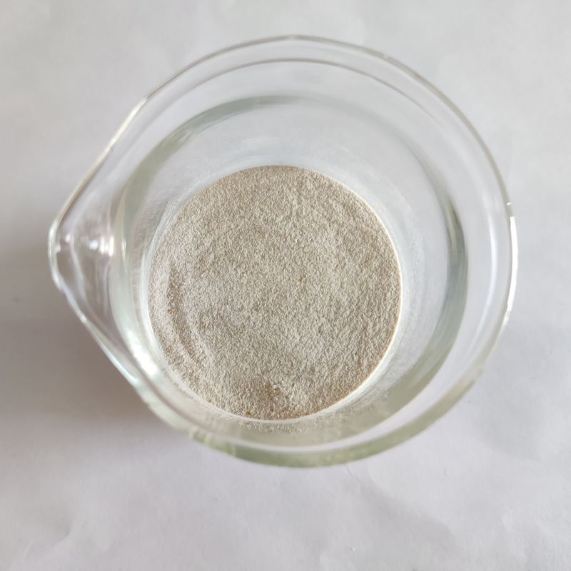 Habioenzymatische Lipase Lipozyme Verbessern die Lipidverwertung