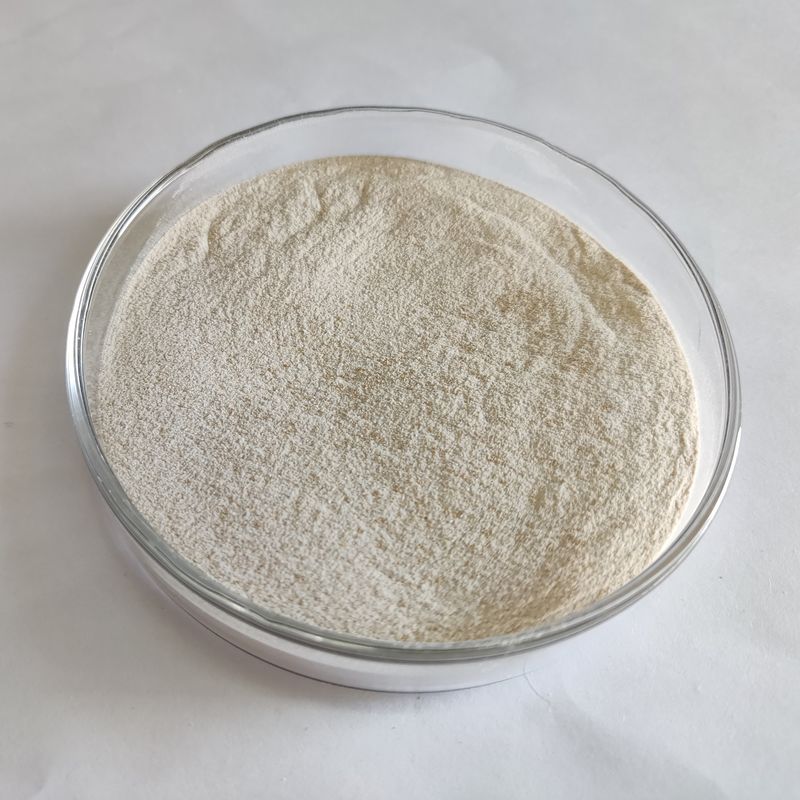 Enzymatische Lipasepulver 50.000-200.000 Mikrobenfermentation Lipase Enzym