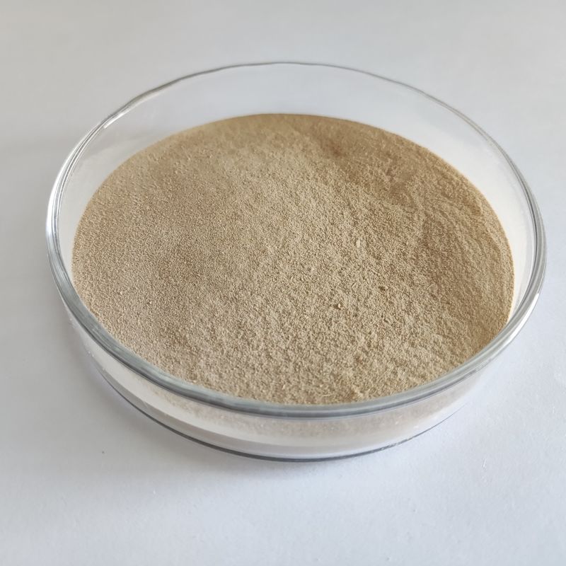BP 100 Protease-Enzym mit hoher Thermostabilität verbessert die Proteinverwertung in Tierfutter