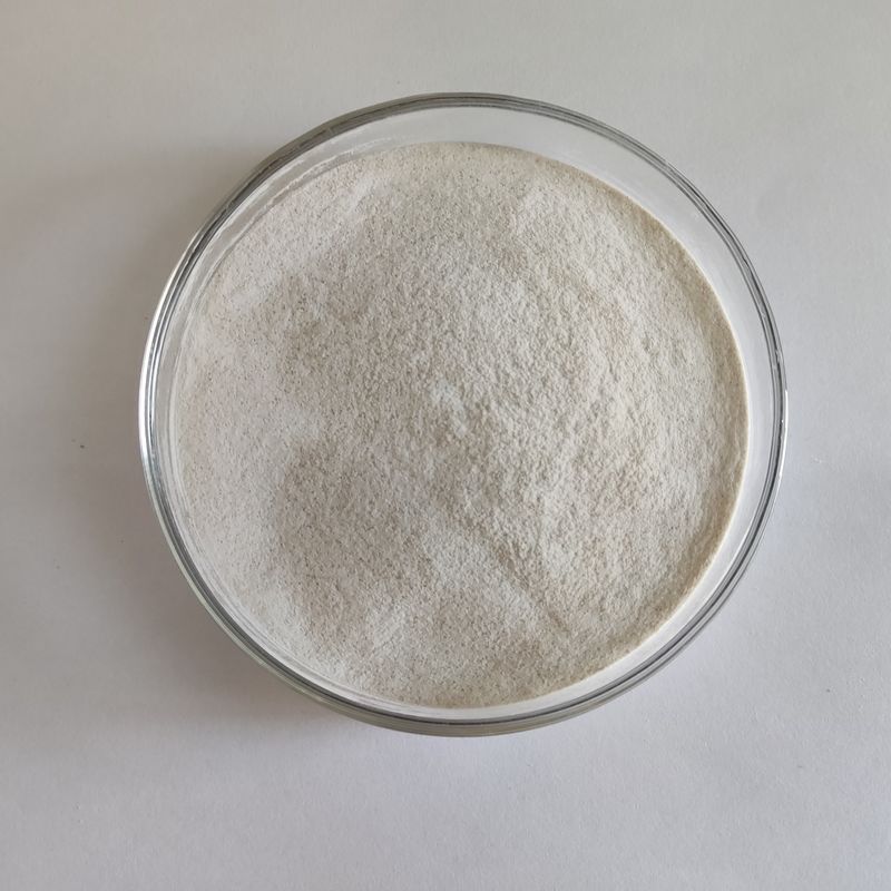 Habio Alpha Galactosidase 50.000 E/g Pulver wasserlöslich Zusatzstoffe für Lebensmittel