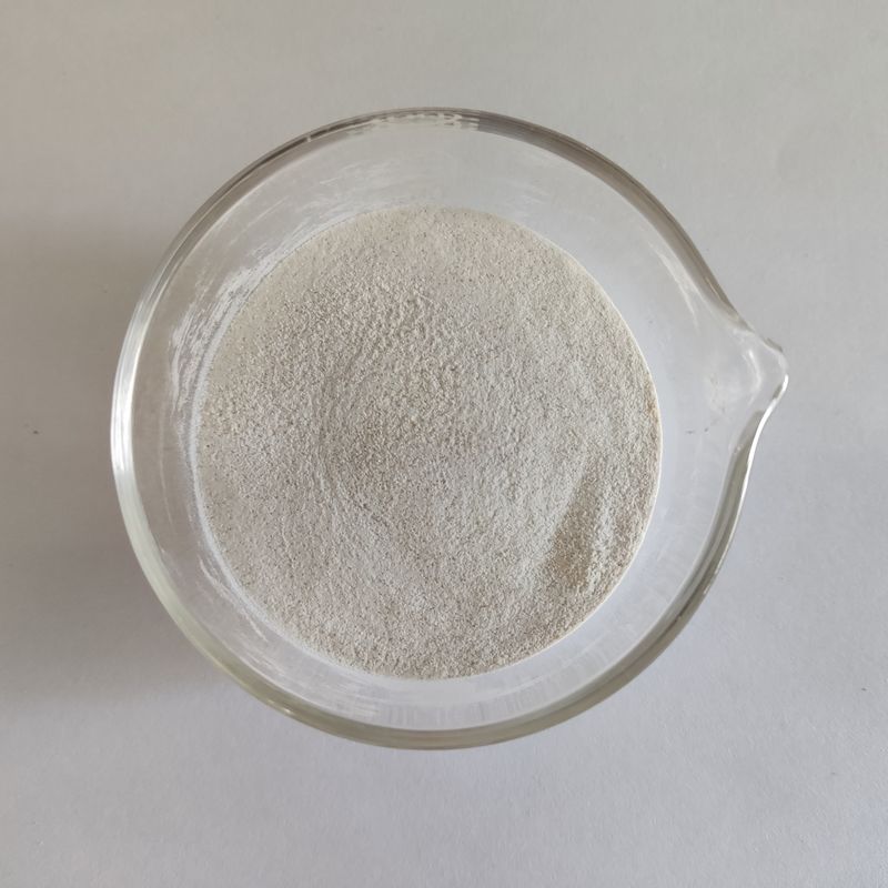 Habio Alpha Galactosidase 50.000 E/g Pulver wasserlöslich Zusatzstoffe für Lebensmittel