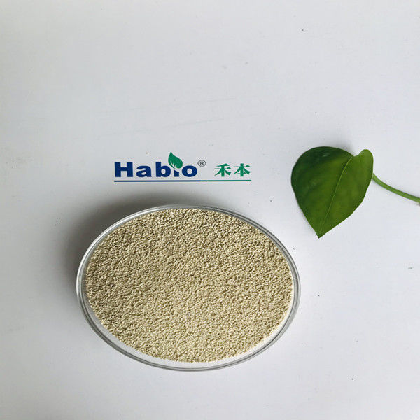 Habioenzymatische Lipase Ernährung Verbessern Absorption und Nutzung Biodiesel