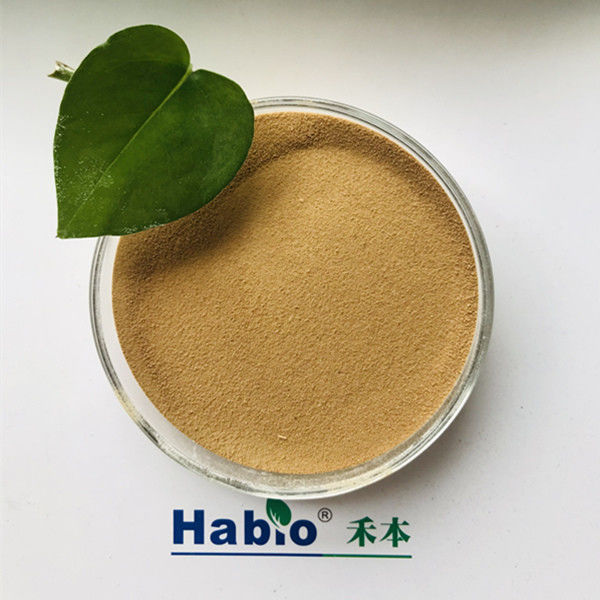 Alkalische hohe Tätigkeit Habio Protease-25kg/Bag für Lederindustrie