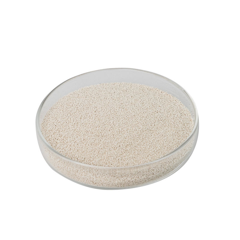 Kombinatorische Beta Xylanase Animal Feed Additives mit FSSC22000