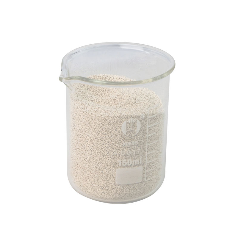 Kombinatorische Beta Xylanase Animal Feed Additives mit FSSC22000