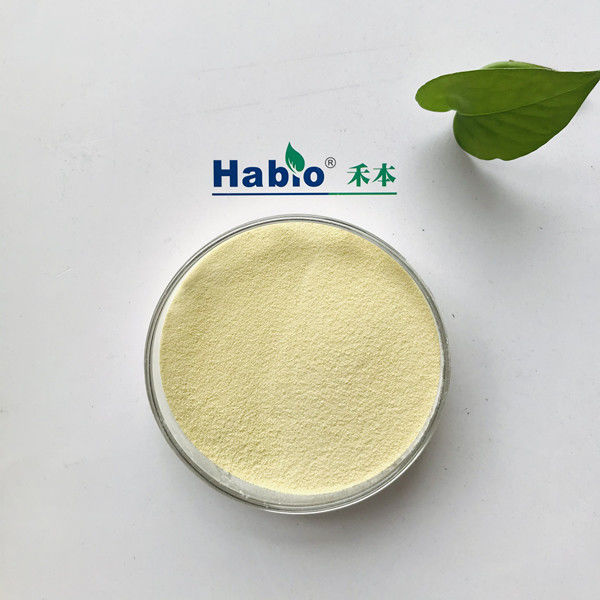 Habio-Mannanase-Enzym hellgelbes Pulver mit stabilem Beta-Mannanase-Enzym